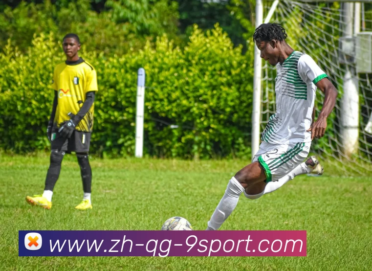 J9九游APP 封面图